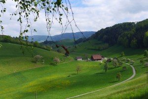 Unknown Valley along the way...