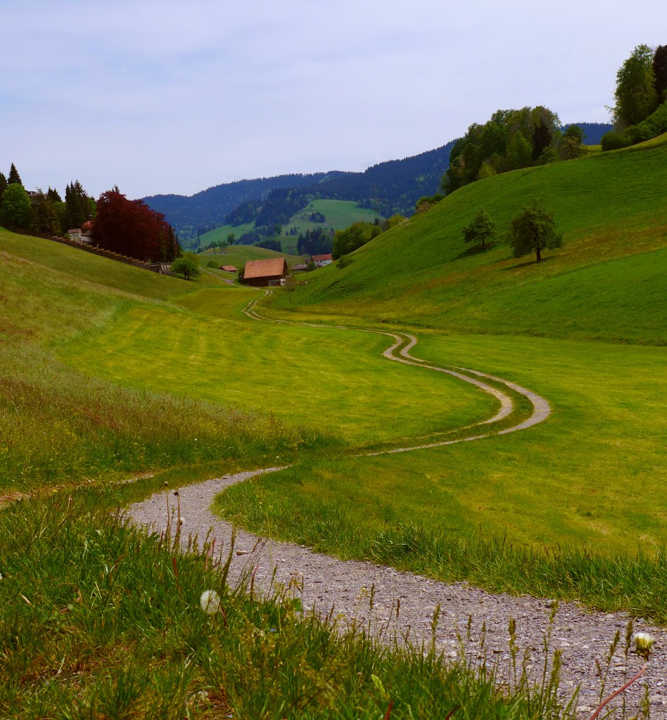 The trail near my house that leads anywhere I really want to go...