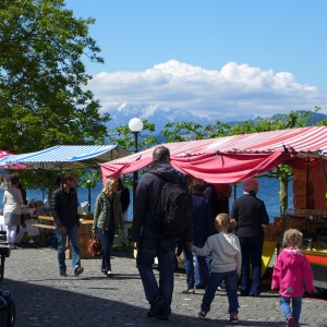 Family at Zug saturday market. They decided to leave me alone my boring wanderings after that