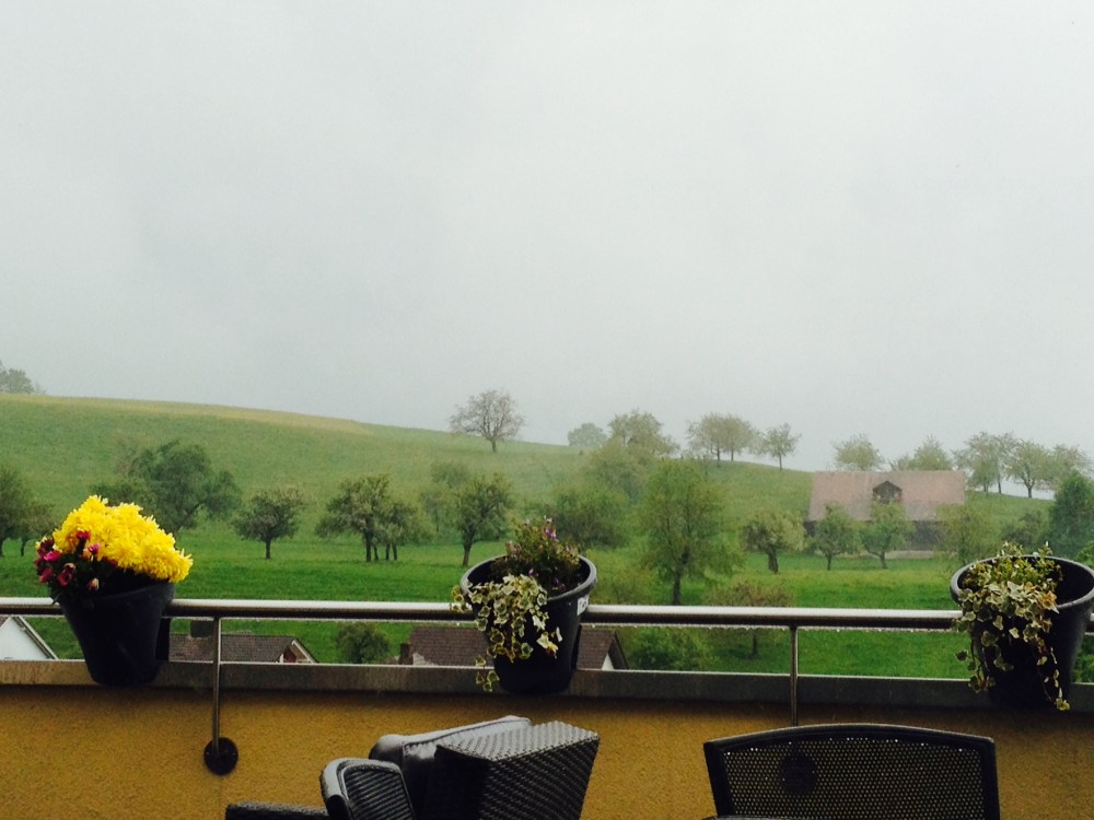 looking out my window into the rain ad fog... perfect day to work on a painting...