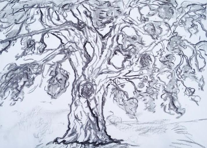 Tree that looks like all HD's trees and nothing like actual. Good thing I went all the way out there to "sketch it from life"