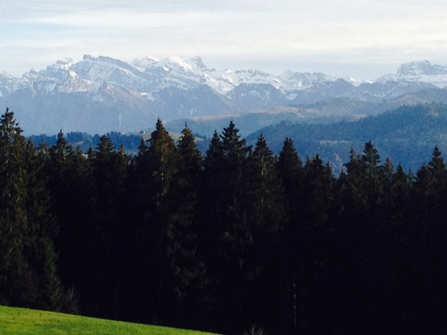 view from brunch at Gottschalkenberg