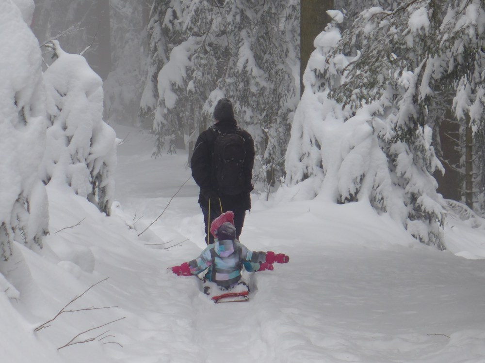 Our New Year's day hike tradition to shake the cobwebs from our heads. 