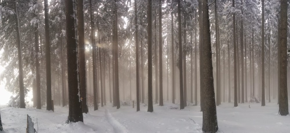 original photo by my DH