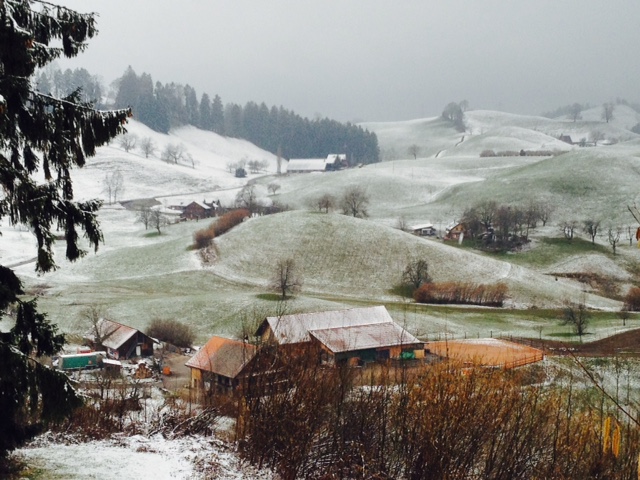 Icy pre-alpine moors