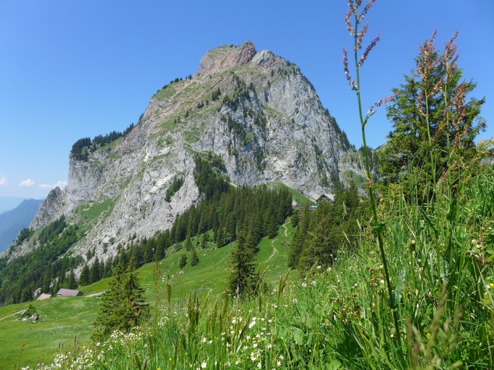 Grosser Mythen at 1898m. There is a trail with winds all the way up to the top, and a little hut there to celebrate with a beer. Looks great but my fear of heights will never allow me to do it...