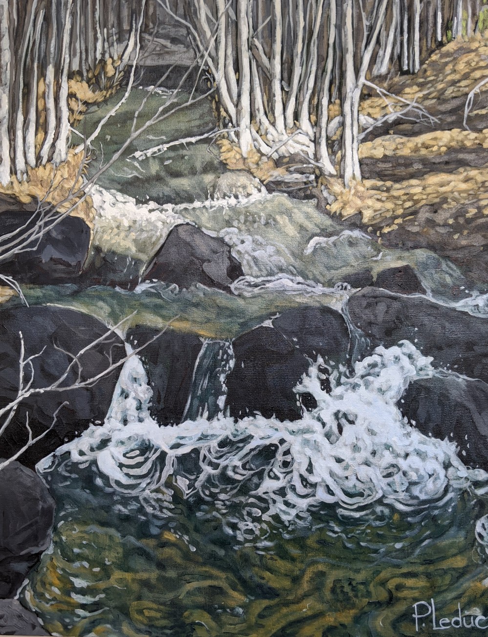 MVIMG_20200617_133811 (1)